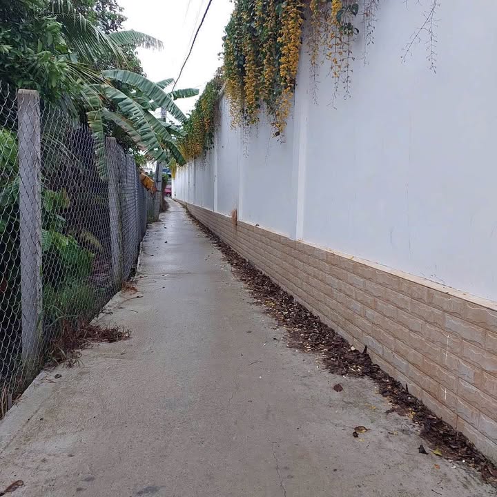 Đất vườn sầu riêng 1000m² tại Phú Đức, Châu Thành - Giá chỉ 850 triệu!