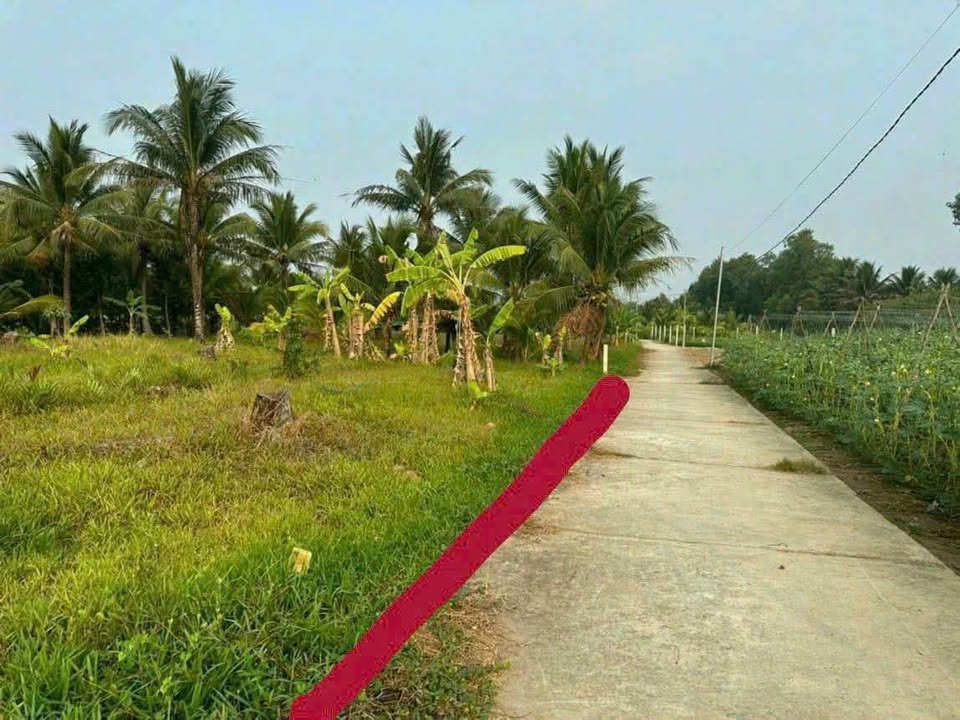 Đất Hữu Định, Phường Phú Tân, 1000m² giá 1.5 tỷ - Cơ hội đầu tư tốt!