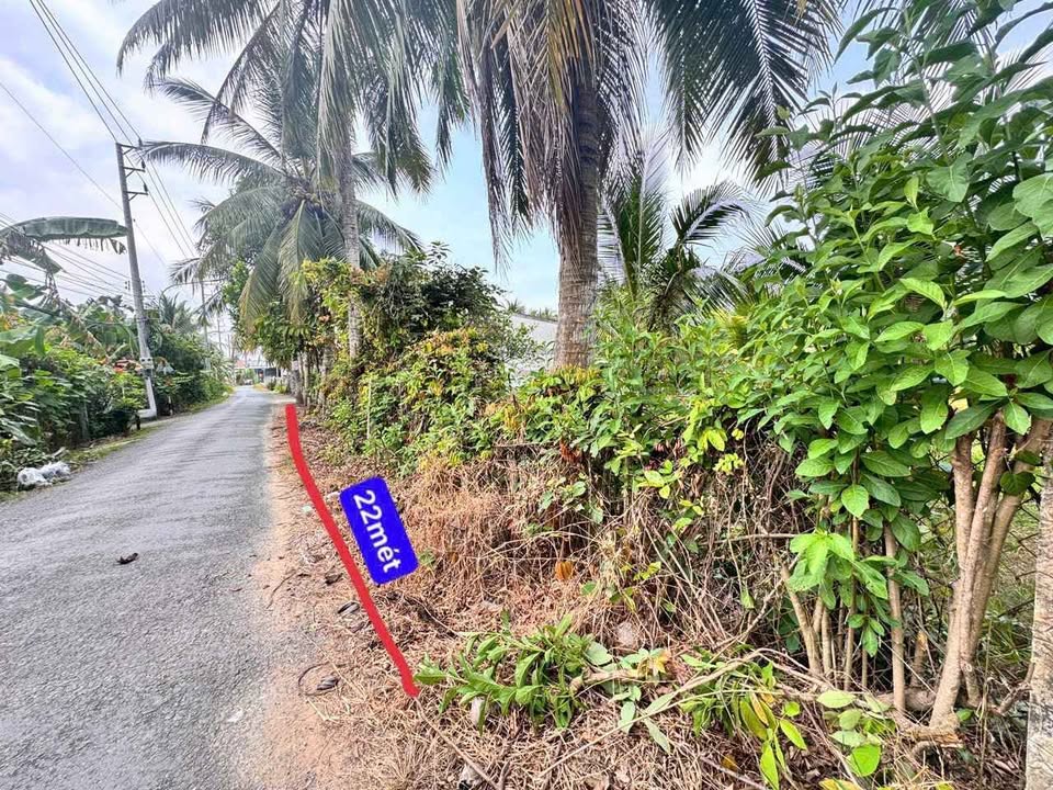 Đất nền mặt tiền Sơn Đông 730m² giá 1.6 tỷ - Cơ hội đầu tư hấp dẫn!