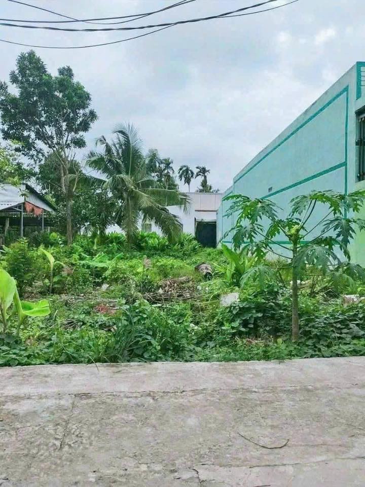 Bán đất nền đẹp Phường 8 TP Bến Tre 212m² - Sổ hồng thổ cư sẵn!