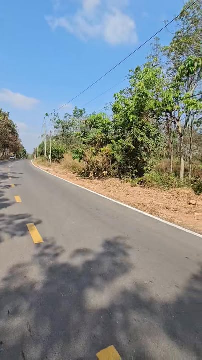 Đất nền 3.825m² mặt tiền đường nhựa Tân Lập 02 - Cơ hội đầu tư sinh lời!