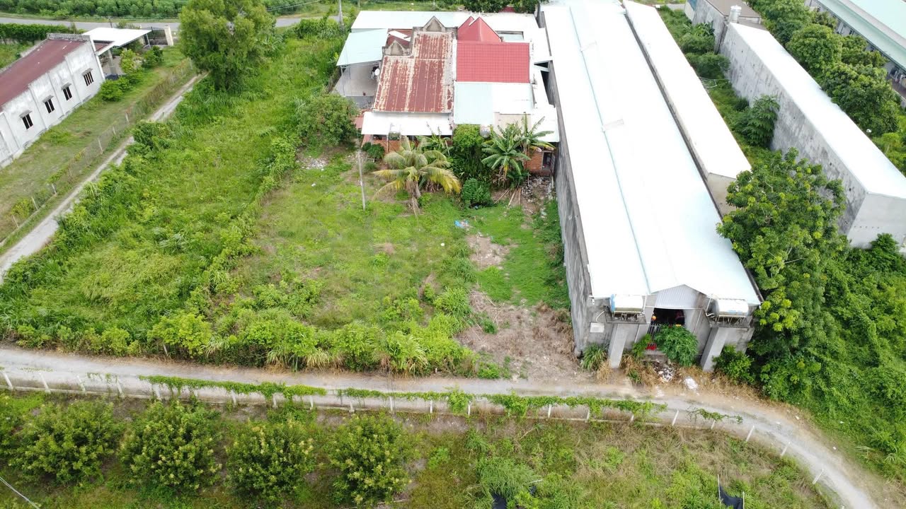 Đất nền 105m² tại Ấp Phước Đông, Gò Dầu, giá chỉ 390 triệu - Sổ đỏ chính chủ!