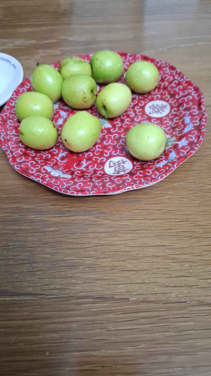 Nhà bán tại Phố đi bộ Thế Lữ, Hải Phòng 33m² giá 1.75 tỷ - Cơ hội đầu tư hấp dẫn!