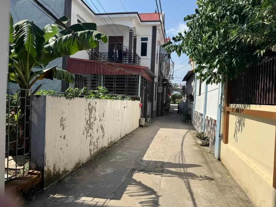 Đất Phương Đình, Đan Phượng 56m² giá 3 tỷ - Đầu tư sinh lời ngay!