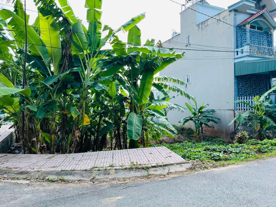 Đất nền Hưng Yên 100m² giá 1 tỷ - Đầu tư sinh lời ngay!