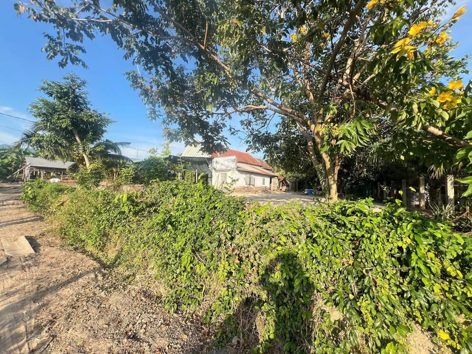 Đất Vạn Phú, Huyện Vạn Ninh, 200m² giá 700 triệu - Cơ hội đầu tư vàng!