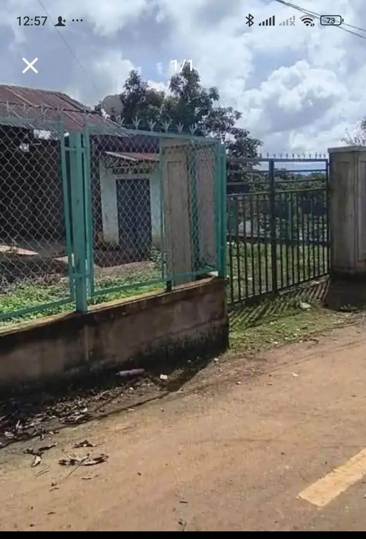 Nhà cấp 4 Xã Lộc An 403m² giá 1.35 tỷ - Cơ hội sở hữu đất thổ cư lớn!