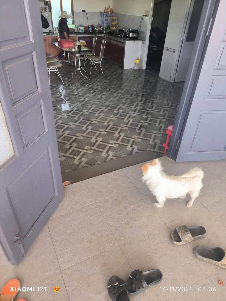 Đất nền Lê Phụng Hiểu, Lộc Châu 660m² giá 3.5 tỷ - Cơ hội đầu tư hiếm có!