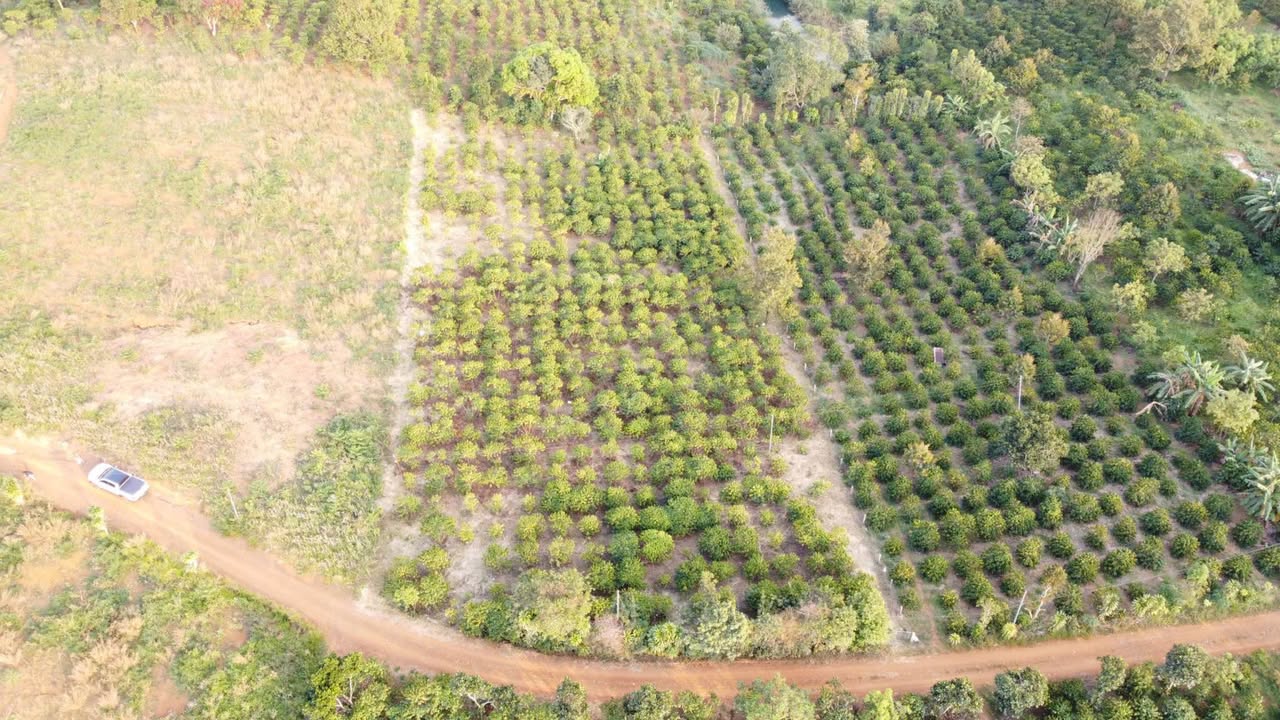 Đất nền 1260m² tại phường 2 Bảo Lộc giá chỉ 2.16 tỷ - Cơ hội đầu tư tuyệt vời!