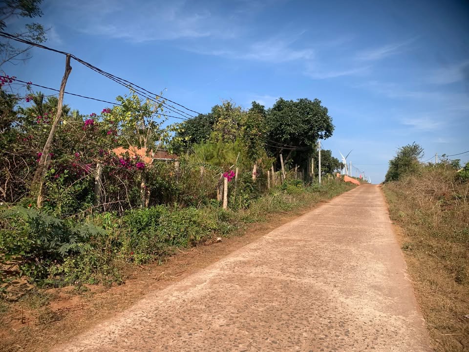 Đất nông nghiệp 7100m² xã Trang, Đăk Đoa, Gia Lai - Đối diện uỷ ban xã, giá chỉ 1.85 tỷ!