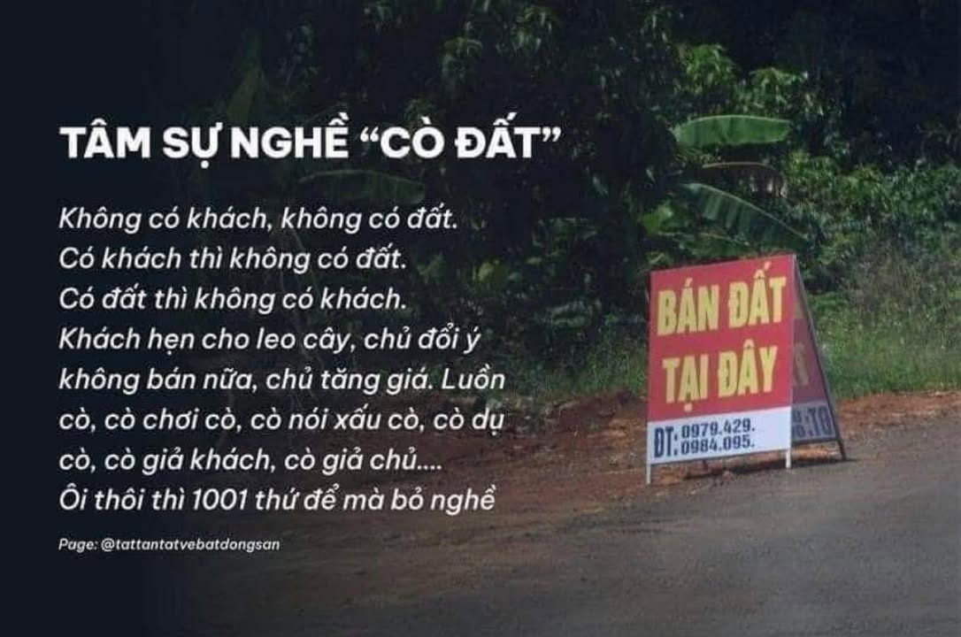 Đất nền Phường Ninh Hà 3000m² - Đầu tư sinh lời, giá thỏa thuận!