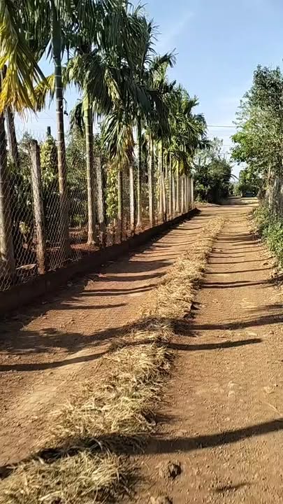 Đất nền xã Ea Yông, huyện Krông Pắc 370m² giá 5.18 tỷ - Đầu tư sinh lời ngay!