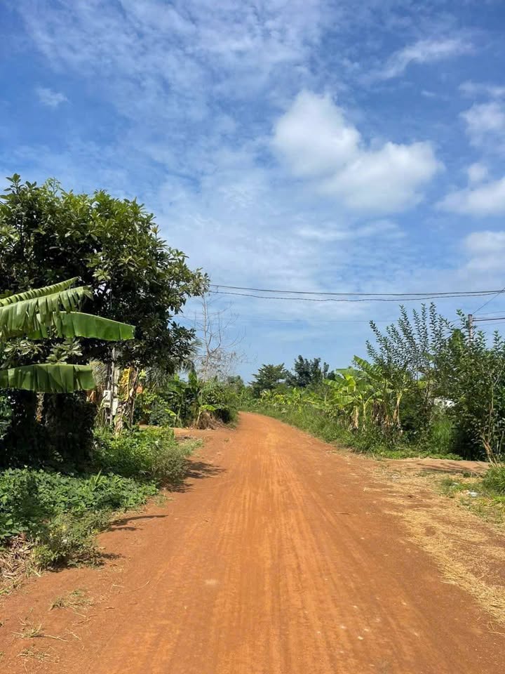 Đất Nông Nghiệp 1,284m² tại Xã Hòa Khánh - Giá 720 triệu, Đầu Tư Dài Hạn!