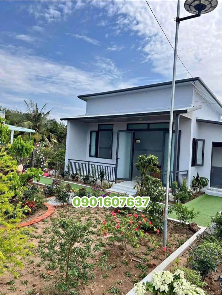 Đất vườn 250m² giá 180 triệu - Cần bán gấp trước Tết!