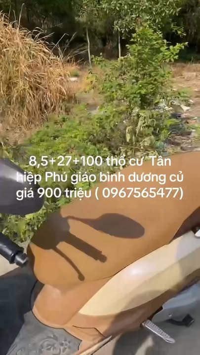 Đất nền Tân Hiệp, Phú Giáo 305m² giá 900 triệu - Sổ đỏ chính chủ, thổ cư 100%!