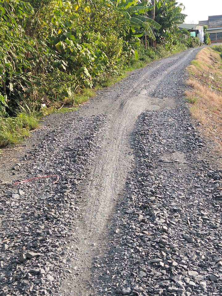 Nhà cấp 4 chính chủ 175m² tại Ấp 3, Mỹ Phú - Chỉ dọn vào ở ngay!