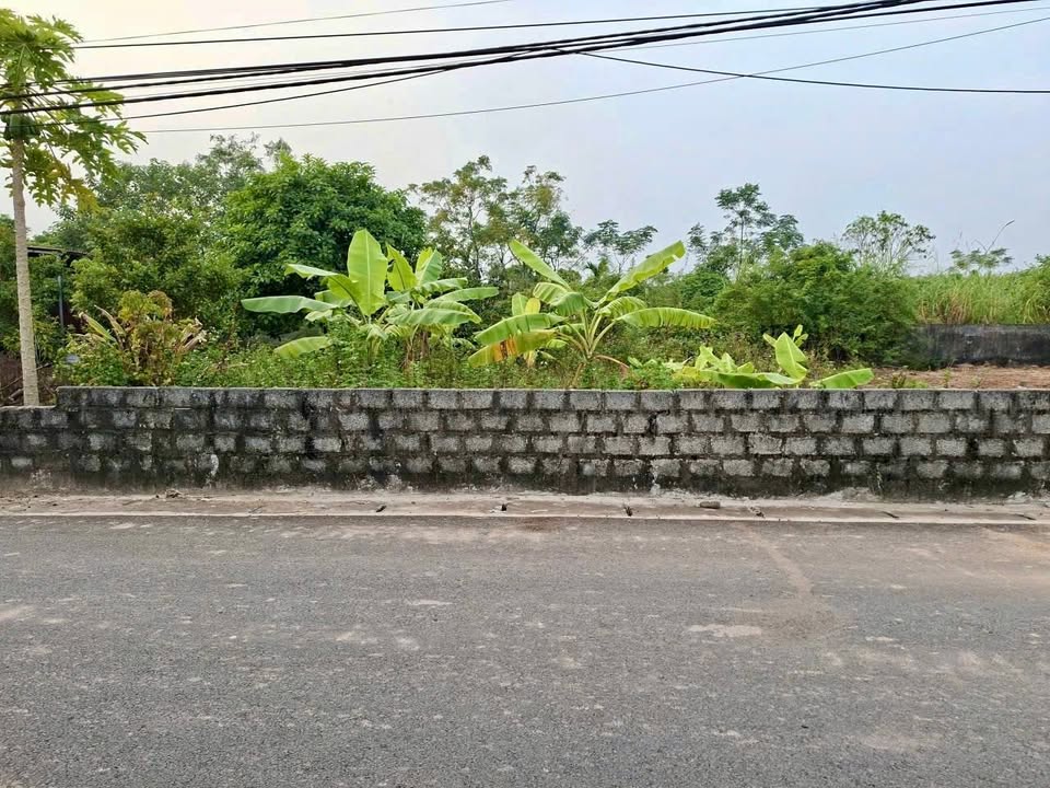 Đất thổ cư Liên Phương, Hưng Yên 263,3m² giá thỏa thuận - Đầu tư lý tưởng!