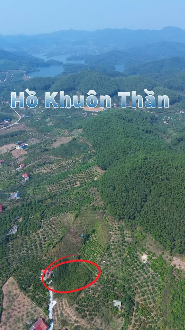 Đất Farm Xã Kiên Lao 2000m² giá 900 triệu - Cơ hội đầu tư nghỉ dưỡng hấp dẫn!