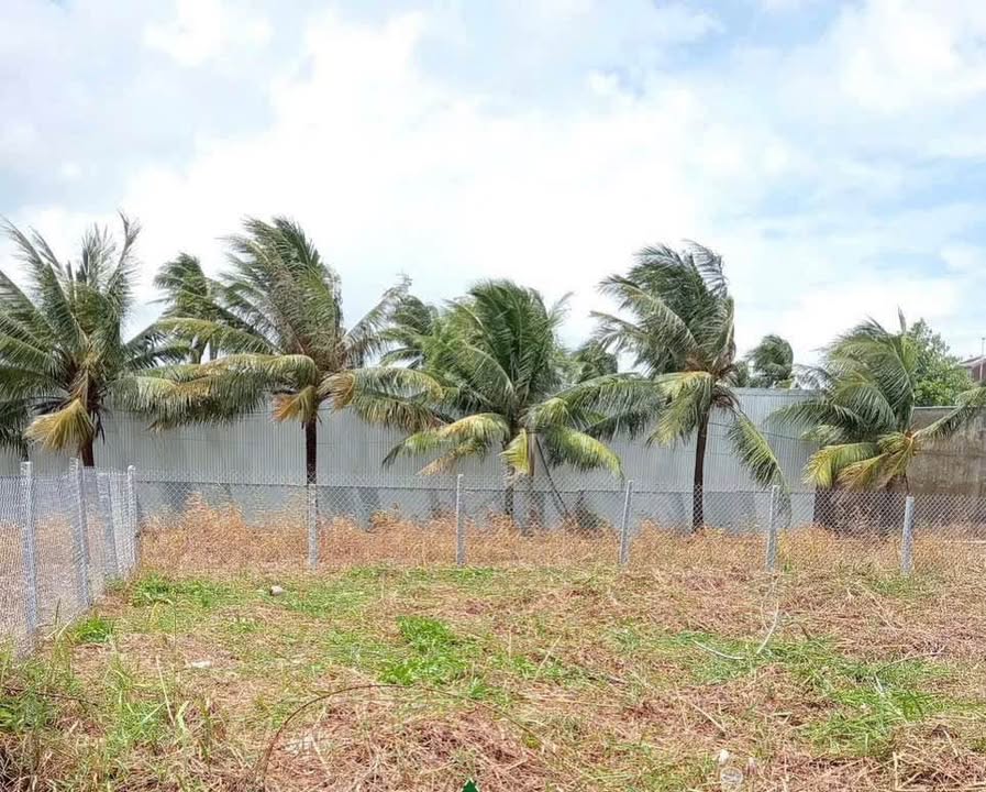 Đất nền 501m² tại Hẻm Đường Thiên Hộ Dương, An Bình, chỉ 2,1 tỷ - Cơ hội đầu tư tuyệt vời!