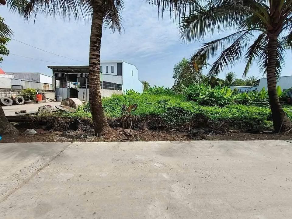 Đất mặt tiền đường Nguyễn Trung Ngạn An Bình 922m² giá 3.5 tỷ - Kinh doanh đa ngành nghề!