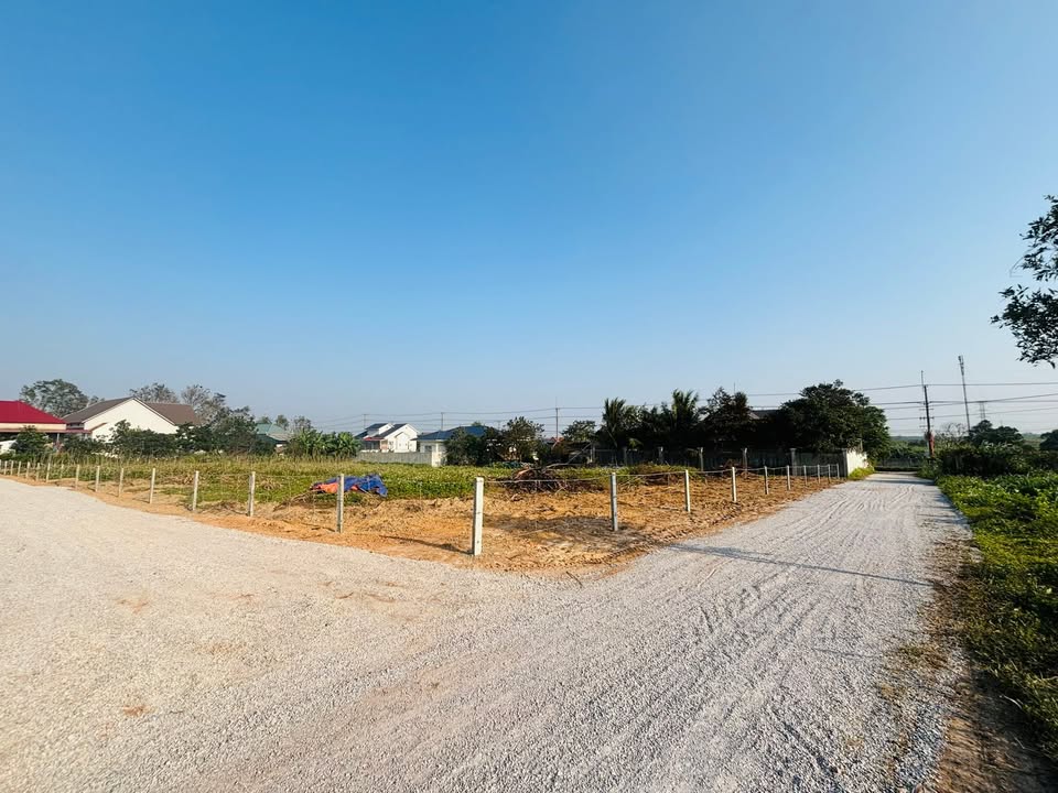 Đất nền Lý Trạch 150m² giá 400 triệu - Thế đất cao ráo, thuận lợi cho xây dựng