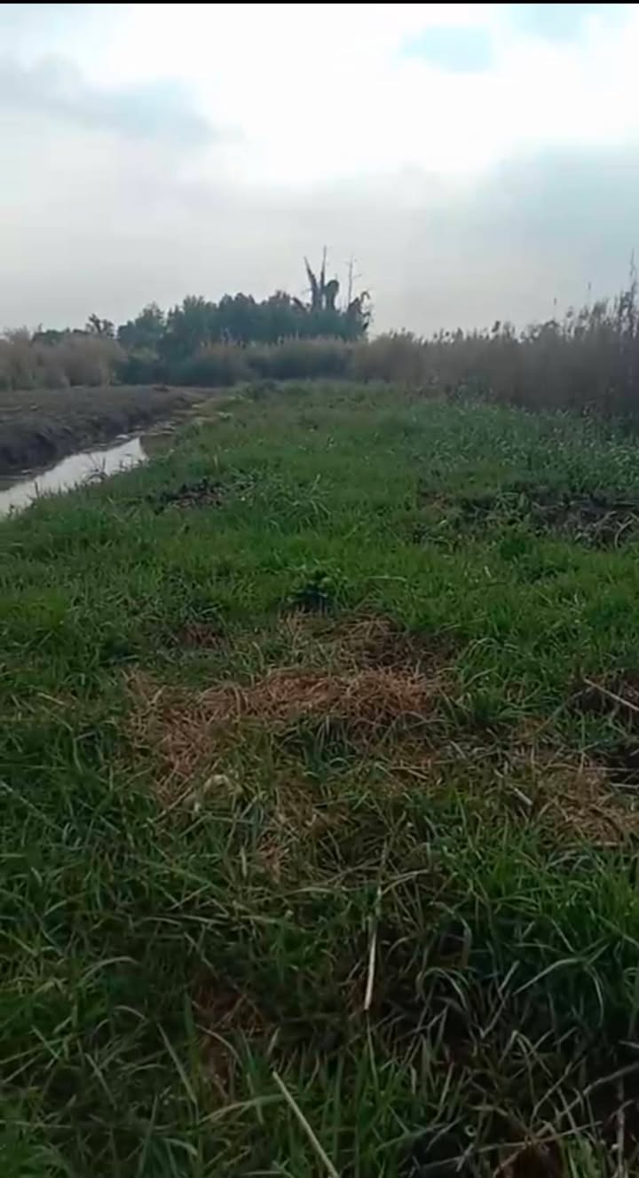 Đất nền 1.8 công xã Hưng Thạnh, Tân Phước, Tiền Giang giá chỉ 390 triệu - Sổ hồng chính chủ!