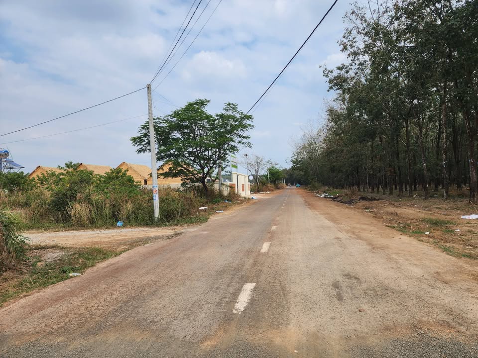 Đất nền Tân Phước, Đồng Phú 144m² - Gần chợ, tiện ích đầy đủ!