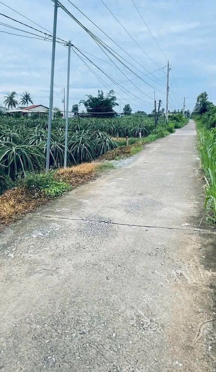 Đất thổ cư xã Vĩnh Công, huyện Châu Thành, 225m² giá 550 triệu - Mặt tiền đường Đan thuận tiện di chuyển!