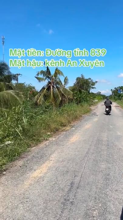 Đất thổ cư 3.677m² tại xã Thuận Bình, huyện Thạnh Hóa - Giá chỉ 2,5 tỷ!