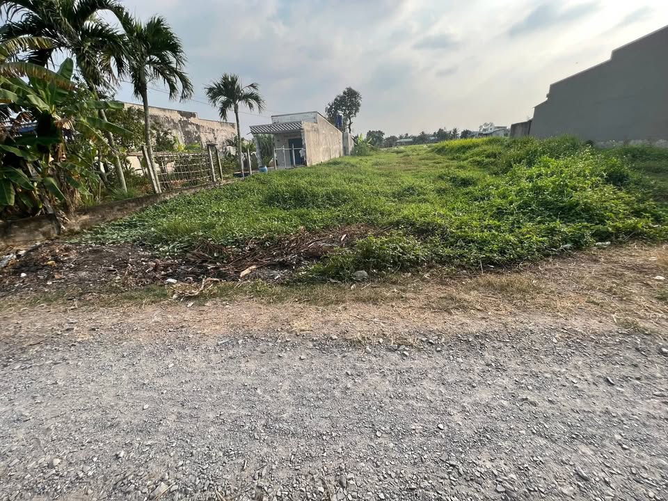 Đất thổ cư 550m² tại Ấp Bình Tiền 1, Đức Hòa - Giá chỉ 3.1 tỷ!