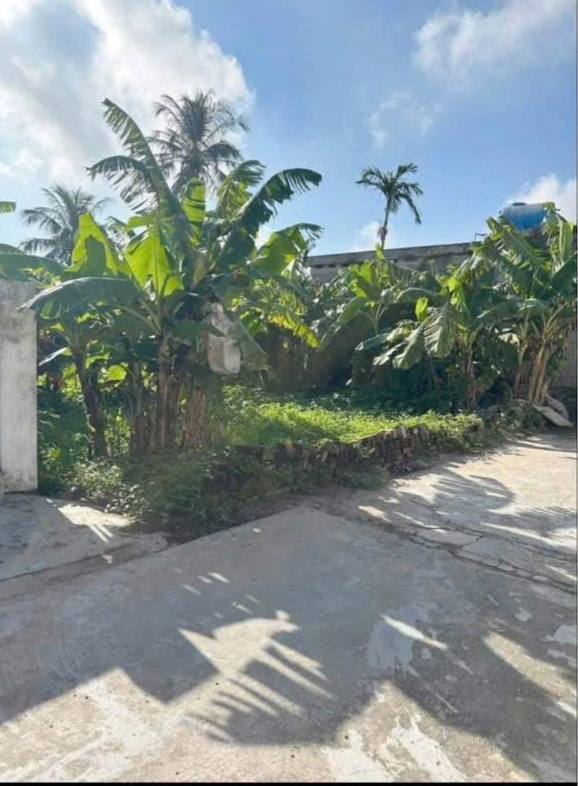 Đất nền xã Quỳnh Thọ, huyện Quỳnh Phụ, 184m² - Đầu tư sinh lời, vị trí đẹp!