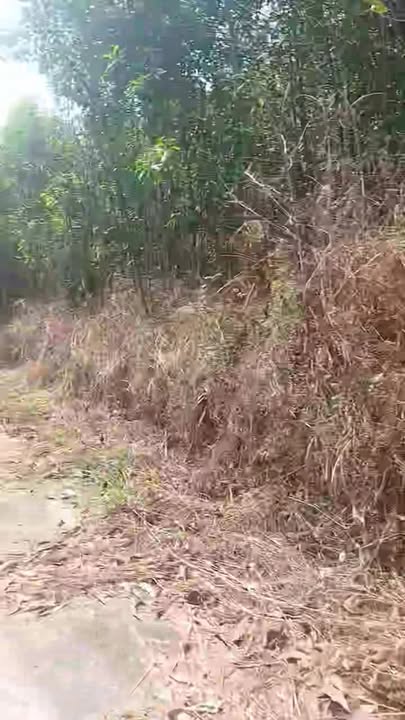 Đất nền 1080m² tại xã Sơn Bình, huyện Châu Đức - Giá chỉ 1.7 tỷ, cơ hội đầu tư tuyệt vời!