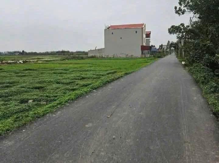 Đất nền trục hàng cây Kim Chân, Bắc Ninh 120m² - Đầu tư tiềm năng!