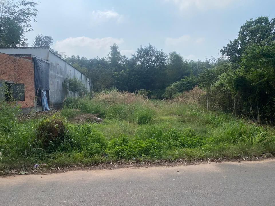 Đất nền Phường Mỹ Phước, Bến Cát 210m² giá 1 tỷ - Cơ hội đầu tư tuyệt vời!