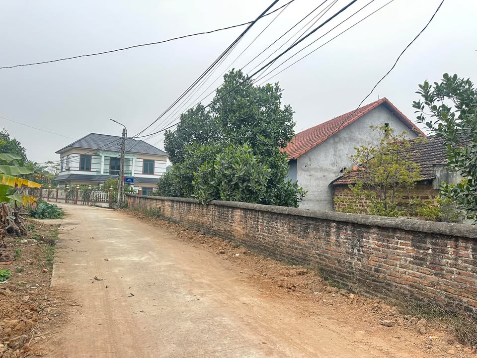 Đất thổ cư 100m² tại xã Thanh Vân, huyện Tam Dương - Giá chỉ 900 triệu!