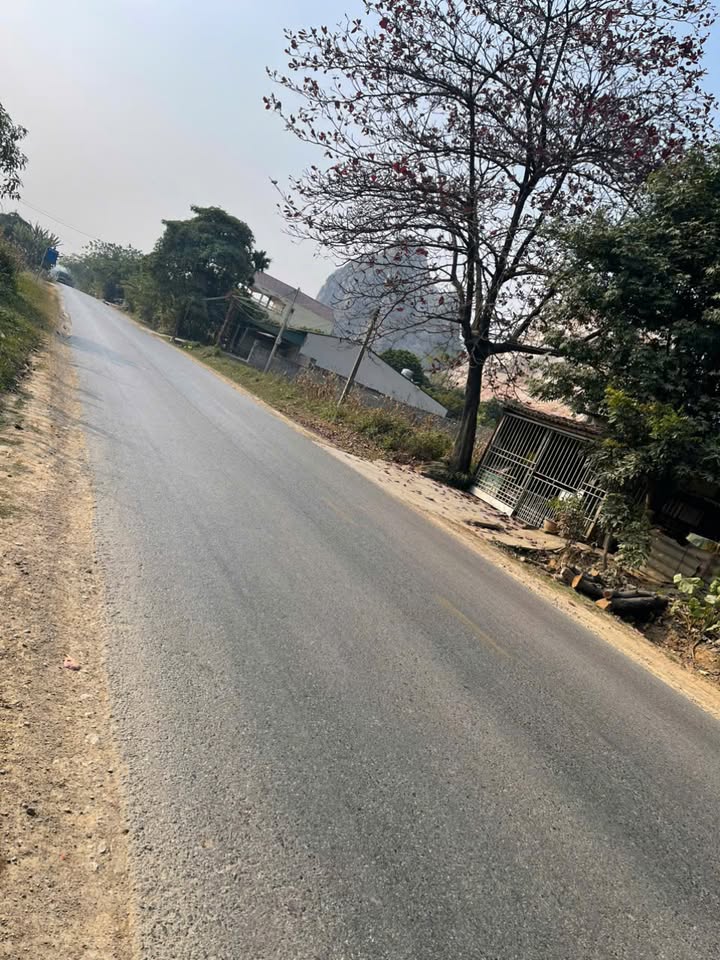 Đất thổ cư Quang Sơn, Đồng Hỷ 160m² giá 1 tỷ - Đầu tư sinh lời ngay!