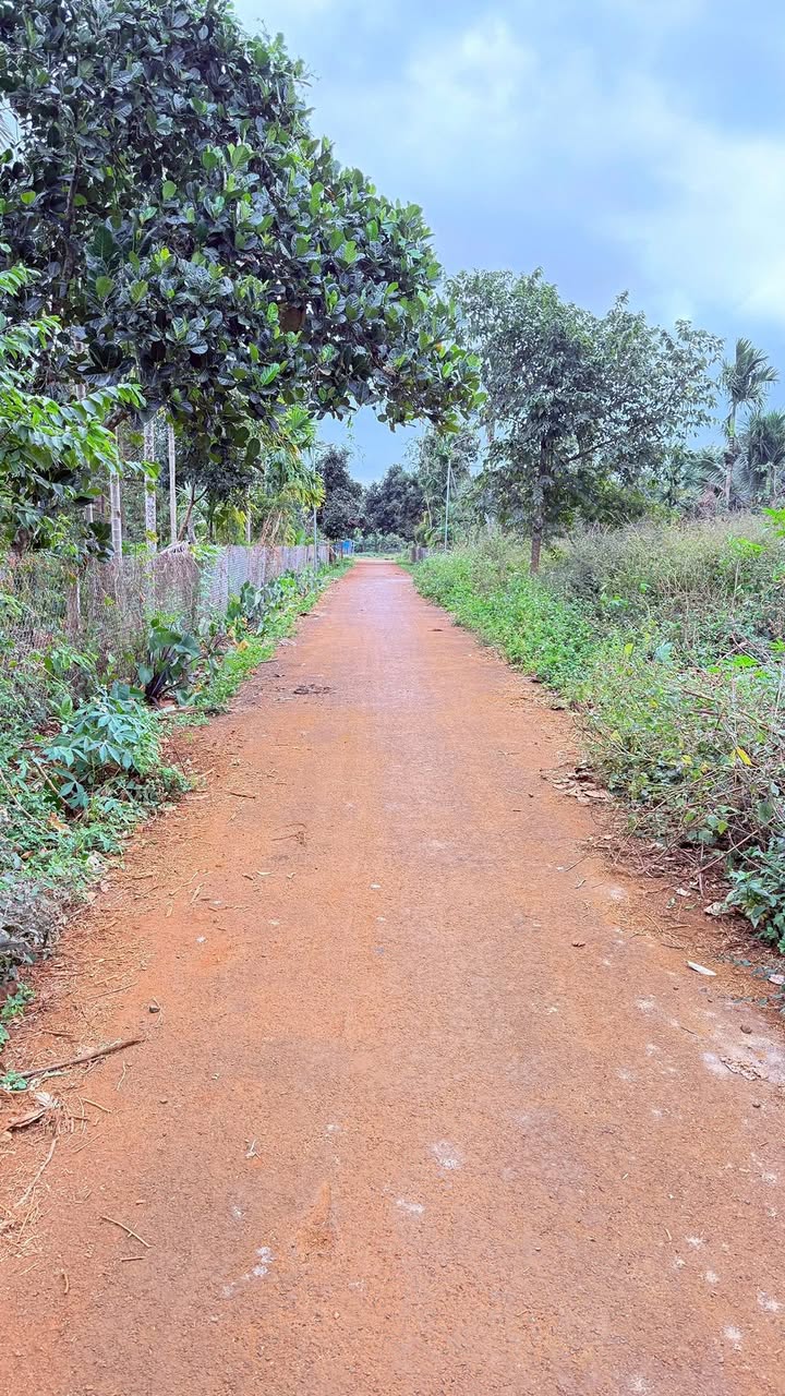 Đất mặt tiền đường Hoà Thắng, Tân Lập 120m² giá 895 triệu - Cơ hội đầu tư hấp dẫn!