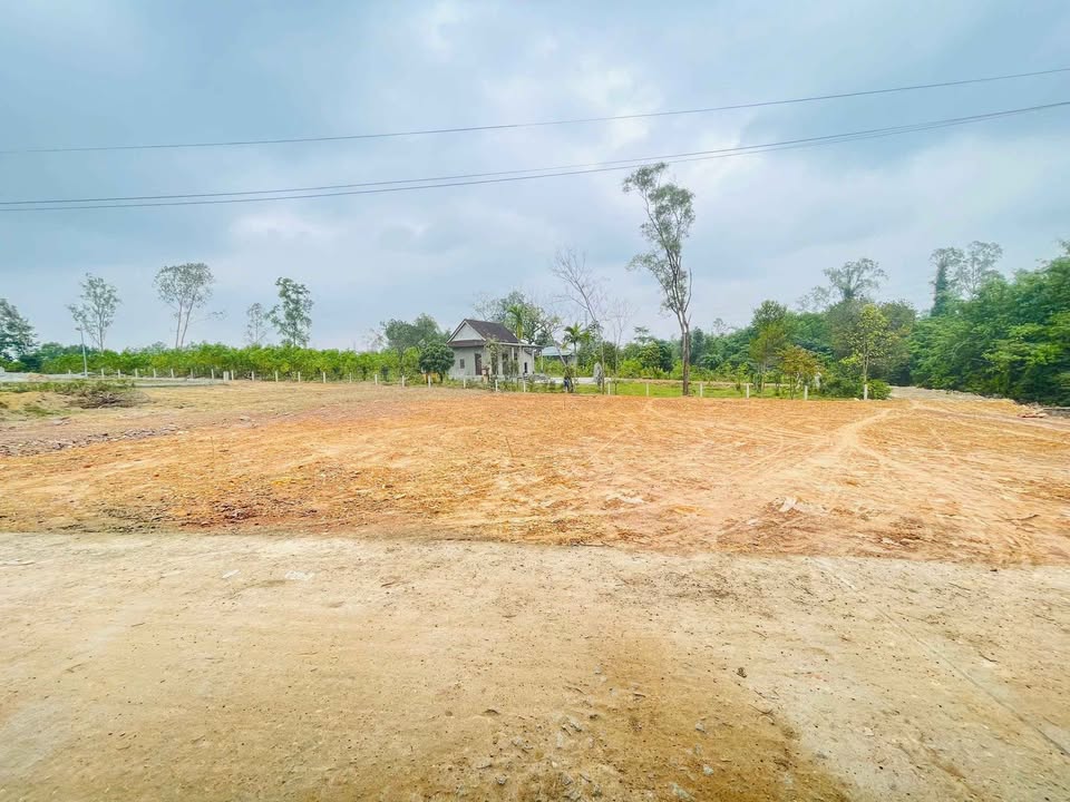 Đất nền kiệt ô Tôn Thất Sơn, Thủy Phương 101m² giá 700 triệu - Đầu tư sinh lời cao!