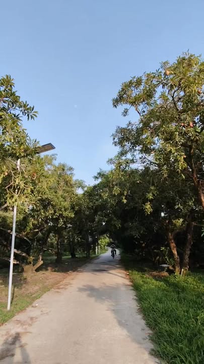 Đất nền Ấp Hội Kim, Đồng Tháp 140m² giá 450 triệu - Cơ hội đầu tư hấp dẫn!