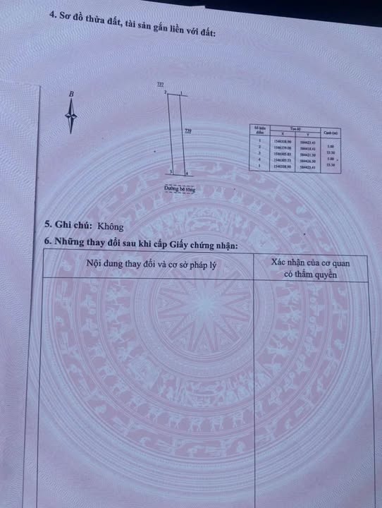 Đất mặt tiền đường Liên xã đi Tây Sơn, Cát Tân, 165m² giá chỉ 200 triệu - Cơ hội đầu tư tuyệt vời!