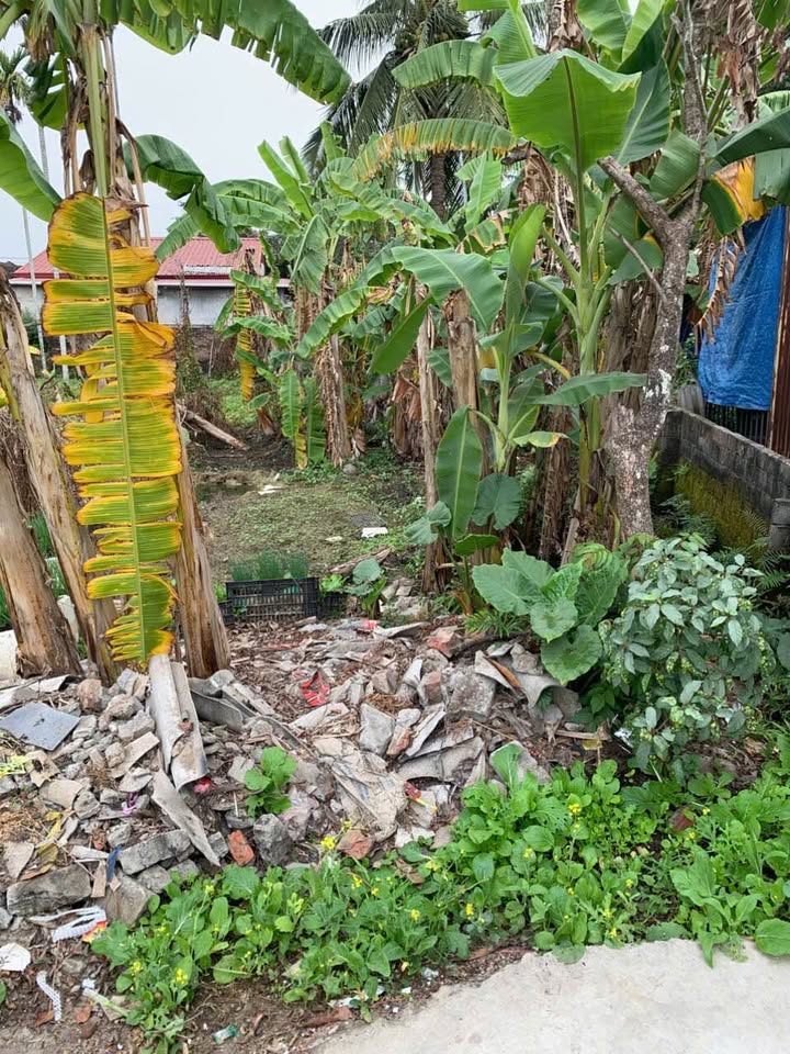 Đất nền đẹp Tràng Duệ, 60,5m² chỉ 1,02 tỷ - Đầu tư sinh lời ngay!