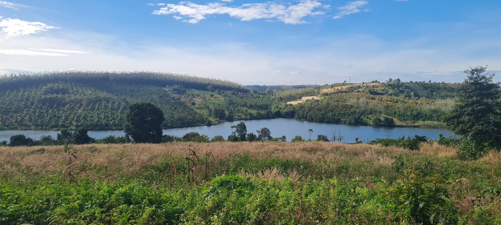 Đất nền 6ha tại Nam Hà, Lâm Đồng giá 2.8 tỷ - Cơ hội đầu tư hấp dẫn!