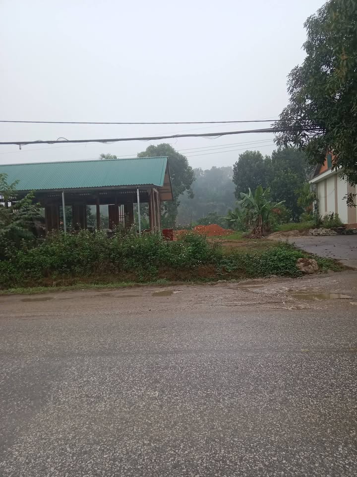 Đất nền xã Phú Thịnh, Yên Bình 135m² giá 1 tỷ - Cơ hội đầu tư sinh lời!