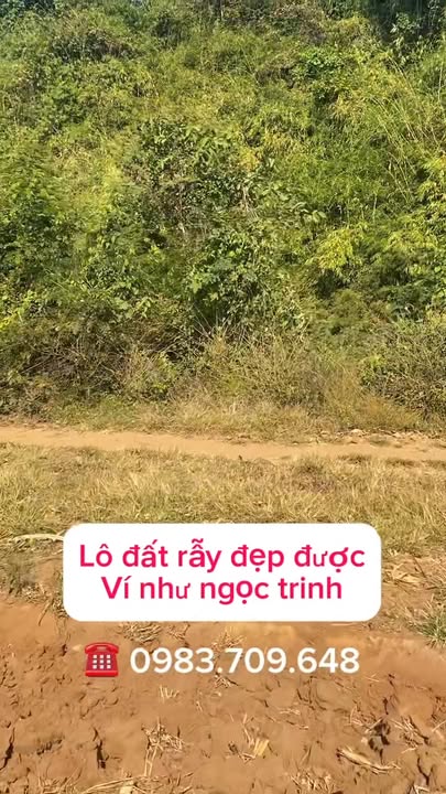 Đất Farm 7 sào tại Xã Tâm Thắng - Giá 1.25 tỷ - Đầu tư sinh lời ngay!