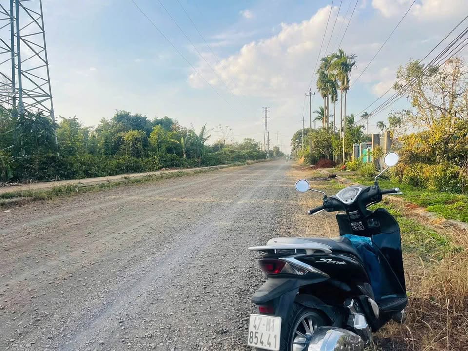 Đất mặt tiền TDP 12 - Tân An 292m² giá 3,5 tỷ - Tiềm năng đầu tư lớn!