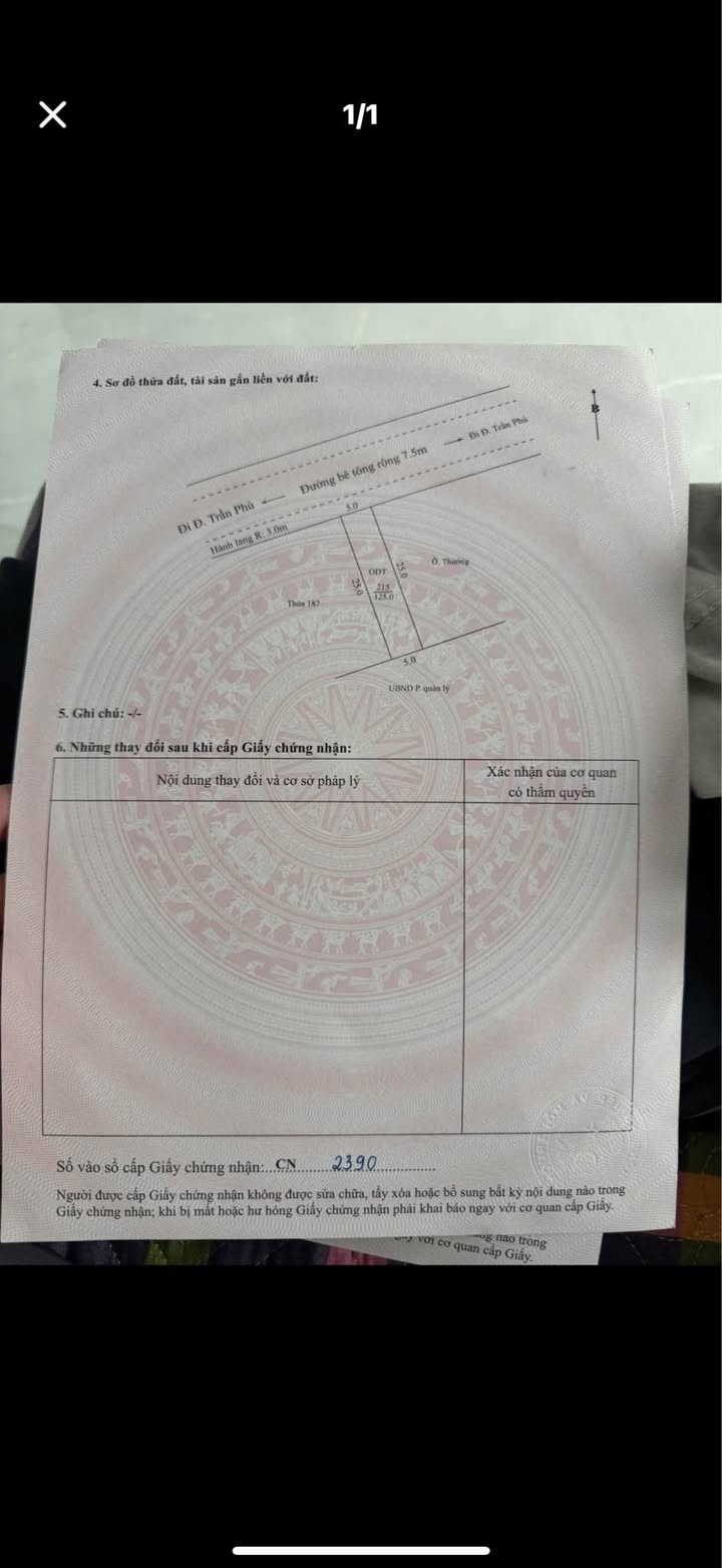 Đất nền đường Trần Phú, Yên Bái 100m² giá 1.2 tỷ - Đầu tư sinh lời ngay!