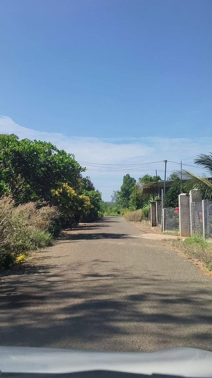 Đất nền Tân Hưng, Hớn Quản 1500m² giá chỉ 155 triệu - Cơ hội đầu tư tuyệt vời!