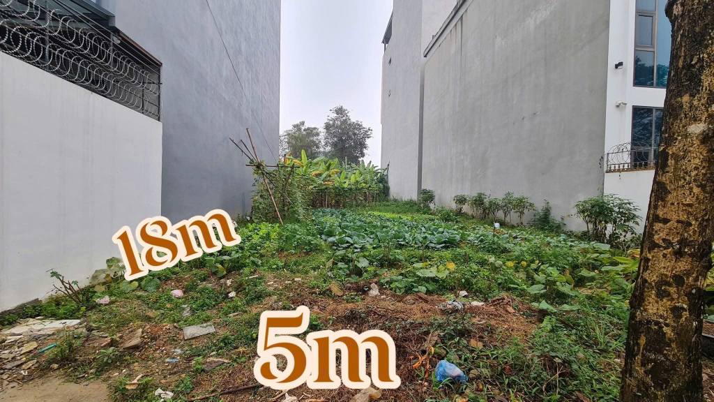 Đất nền Hòa Phong kéo dài, Việt Trì, 90m² giá 5 tỷ - Cơ hội vàng cho nhà đầu tư!