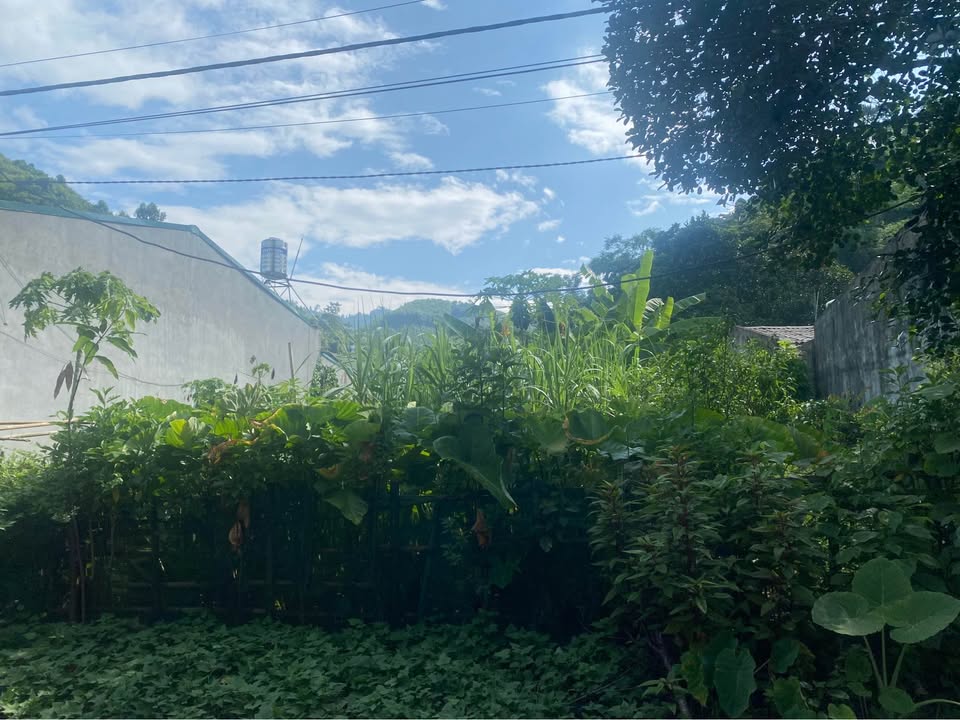 Đất thổ cư hai mặt tiền Bản Quẩn, Lào Cai 141m² giá 1.4 tỷ - Cơ hội đầu tư tuyệt vời!