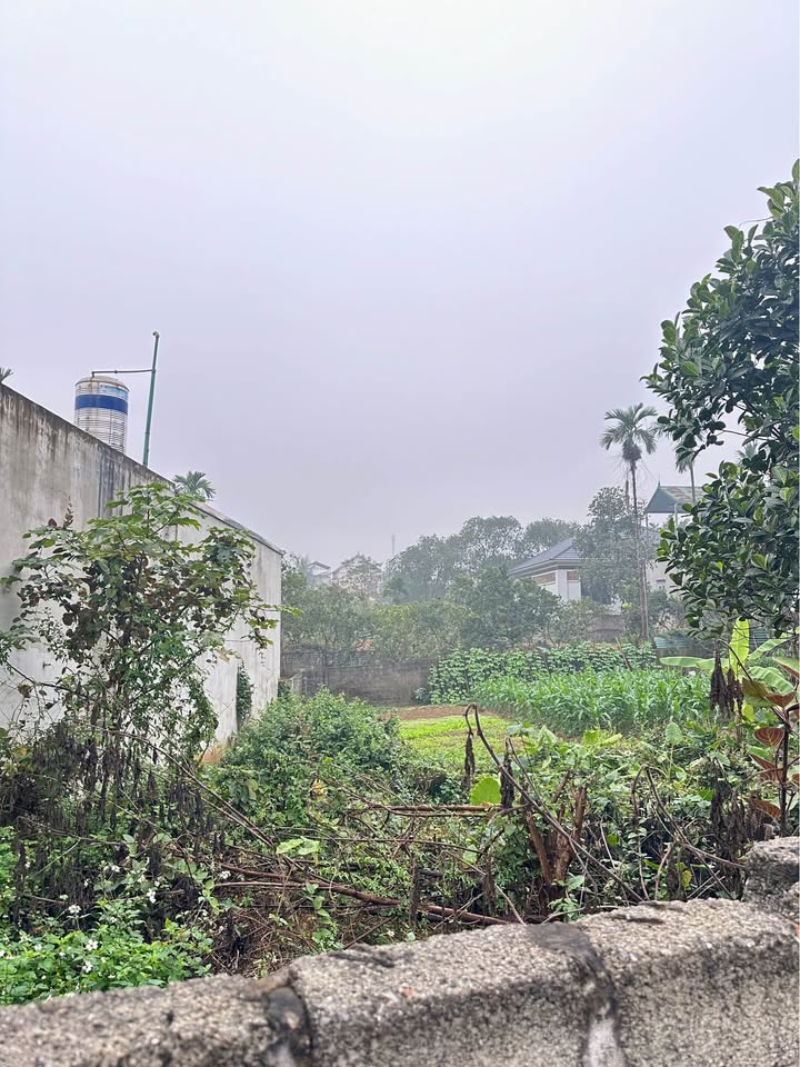 Đất nền Lương Sơn 300m² giá 2.4 tỷ - Đường thông ô tô tránh nhau!